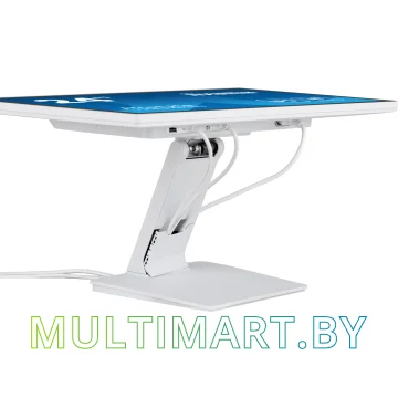 Монитор Iiyama ProLite T2452MSC-W1 картинка 6